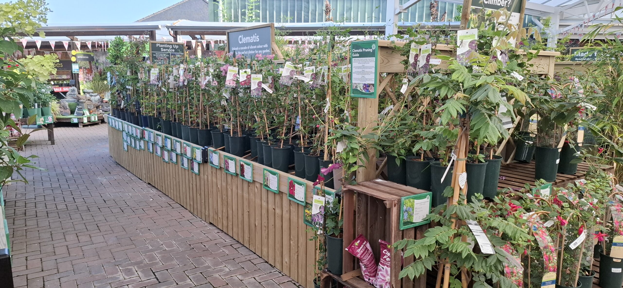 plant display tables showcasing plants