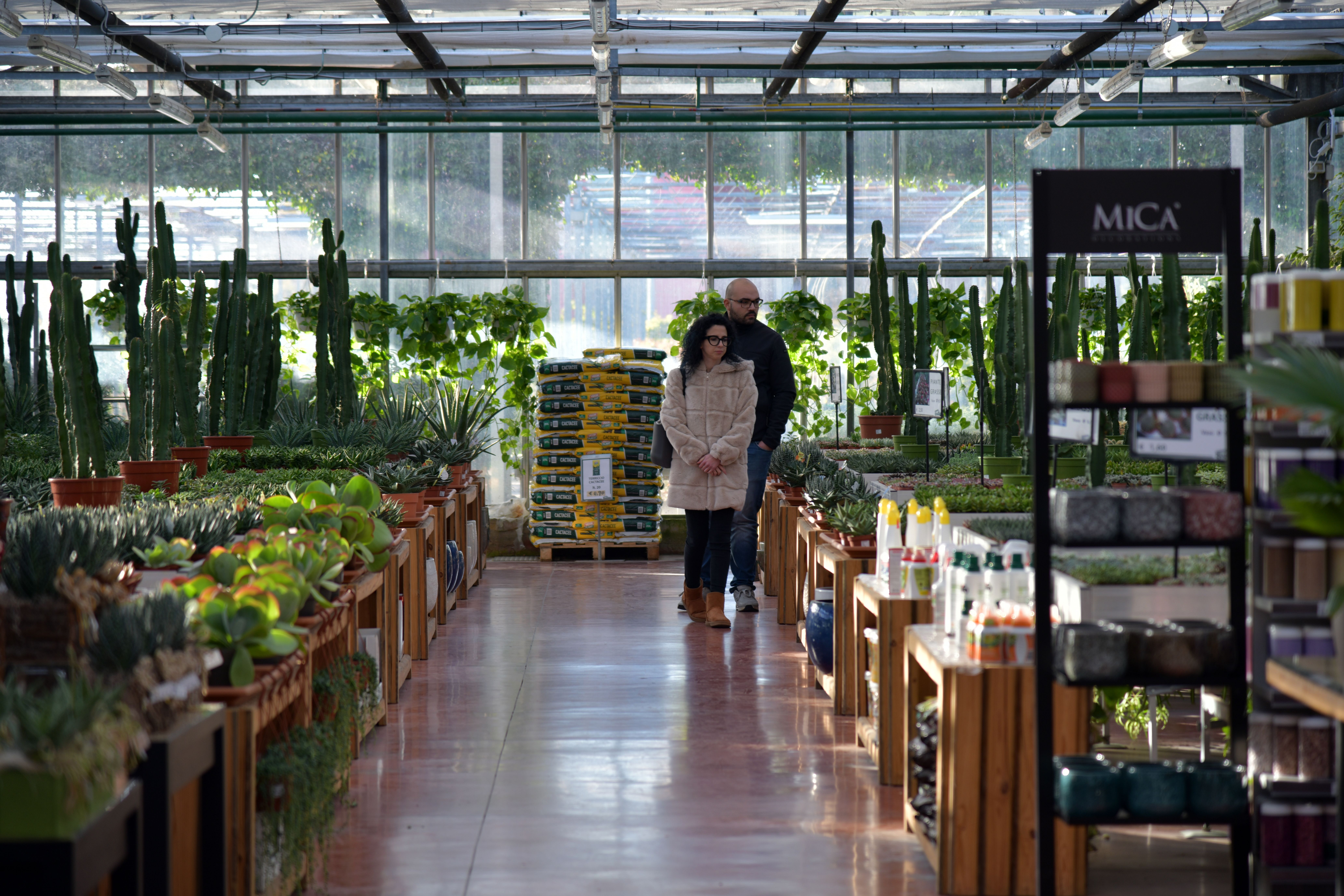 couple walking through garden centre